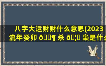 八字大运财财什么意思(2023流年癸卯 🐶 杀 🦁 枭是什么意思)